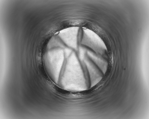 X0000084600510200703161820