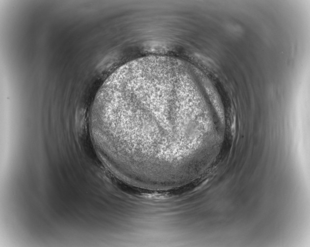 X0000084600511200703161820