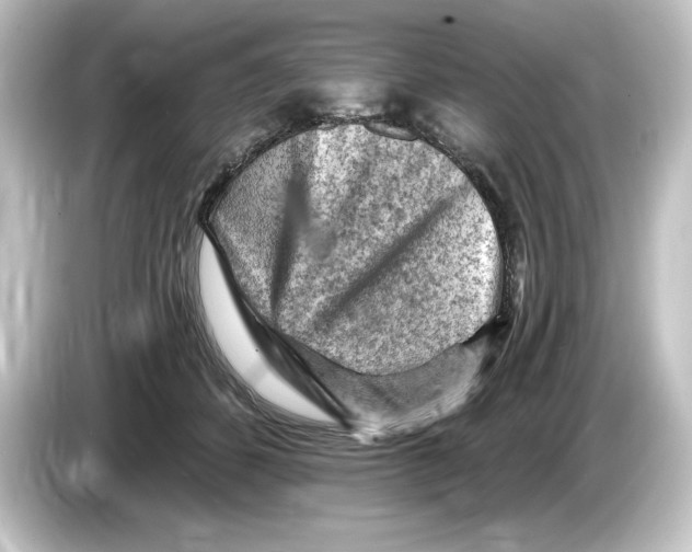 X0000084600512200703161820