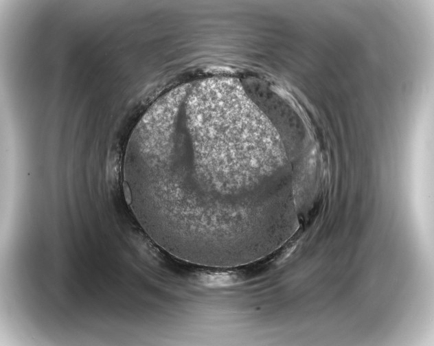 X0000084600513200703161820