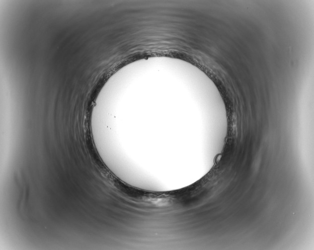 X0000084600514200703161820