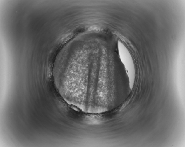 X0000084600517200703161820