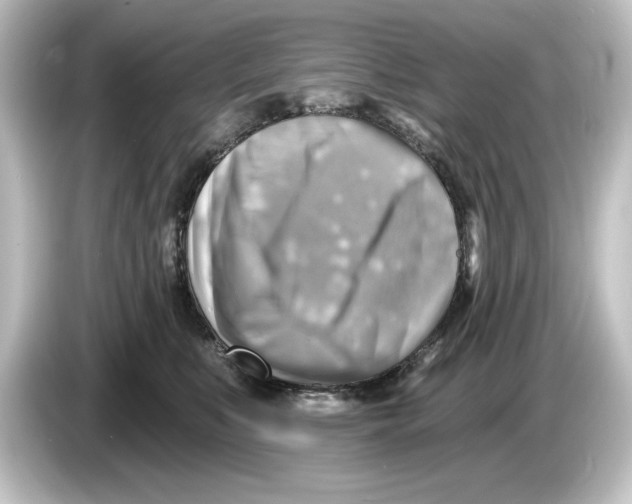 X0000084600519200703161820