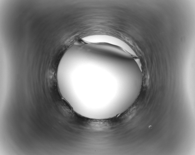 X0000084600521200703161820