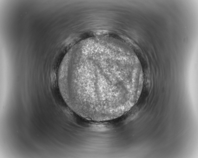 X0000084600523200703161820