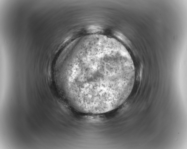 X0000084600524200703161820