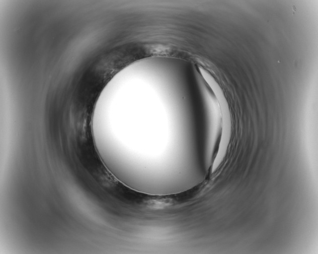 X0000084600525200703161820