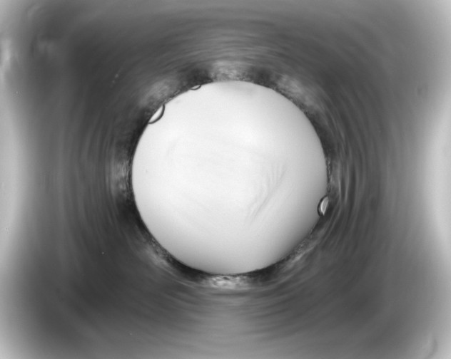 X0000084600526200703161820