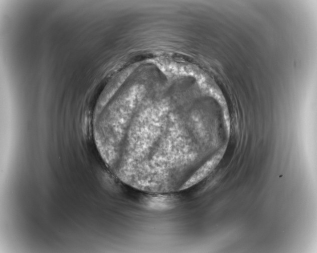 X0000084600527200703161820