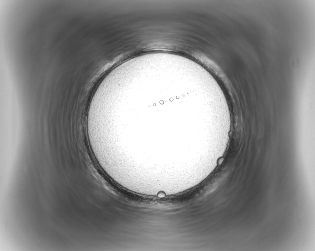 X0000084600529200703161819