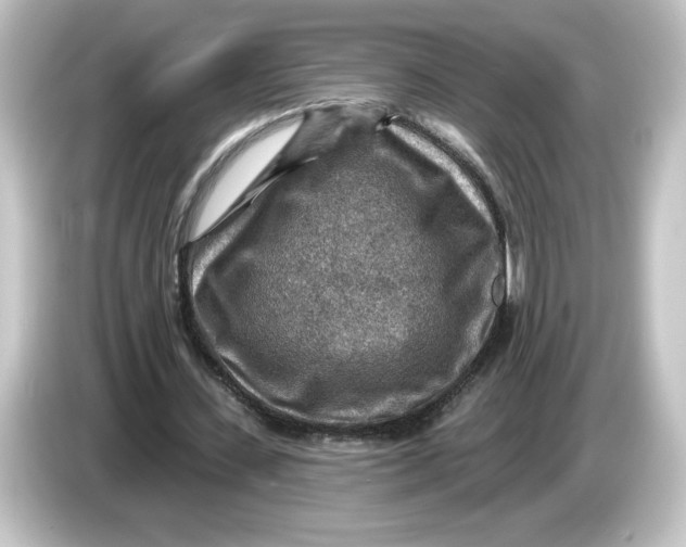 X0000084600531200703161819