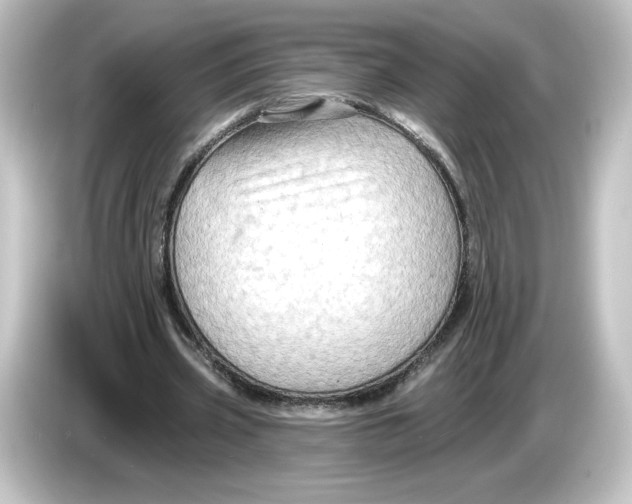 X0000084600533200703161820