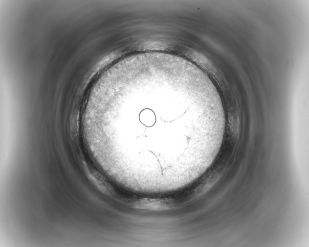 X0000084600534200703161820