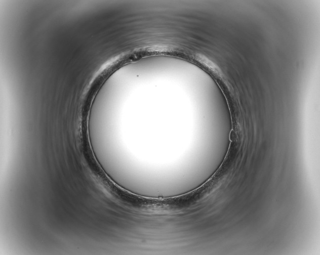 X0000084600535200703161820