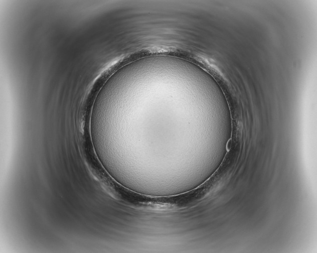 X0000084600539200703161820