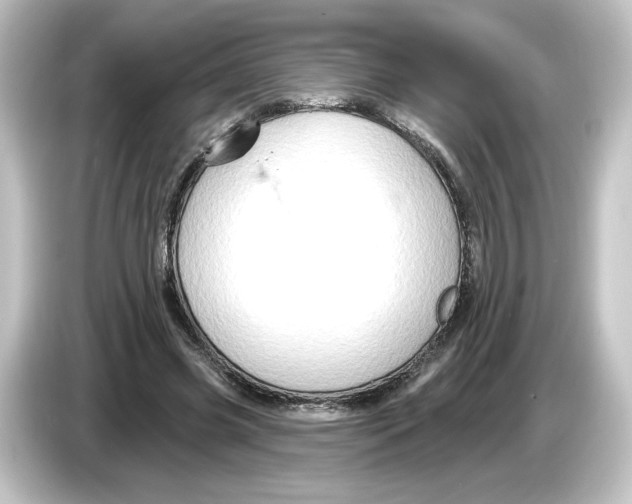 X0000084600541200703161820