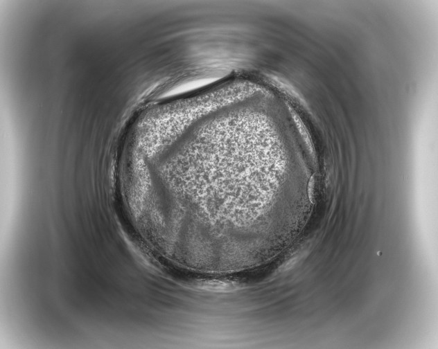 X0000084600542200703161820