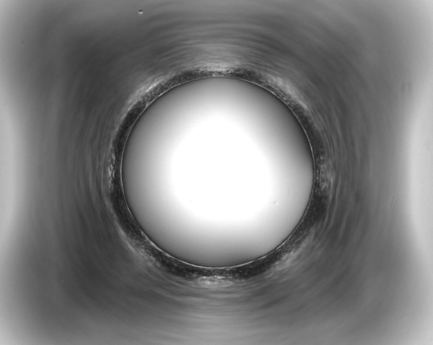 X0000084600544200703161820