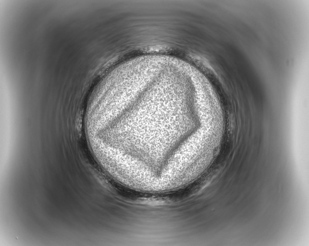 X0000084600545200703161820