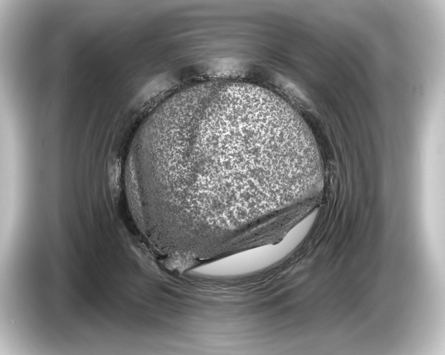 X0000084600550200703161820