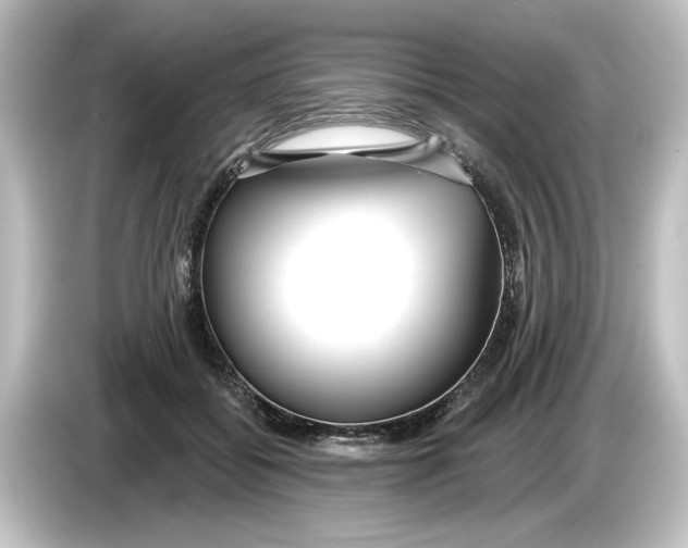 X0000084600556200703161820