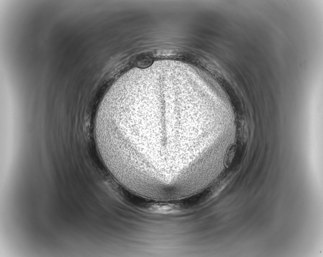 X0000084600557200703161820