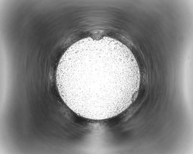 X0000084600561200703161820