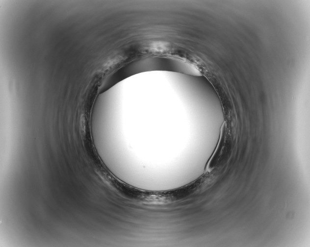 X0000084600562200703161820