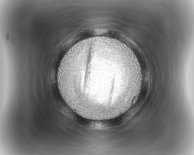 X0000084600565200703161820