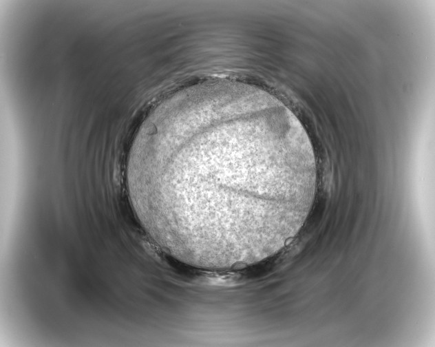 X0000084600569200703161820