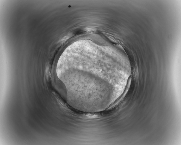 X0000084600570200703161820