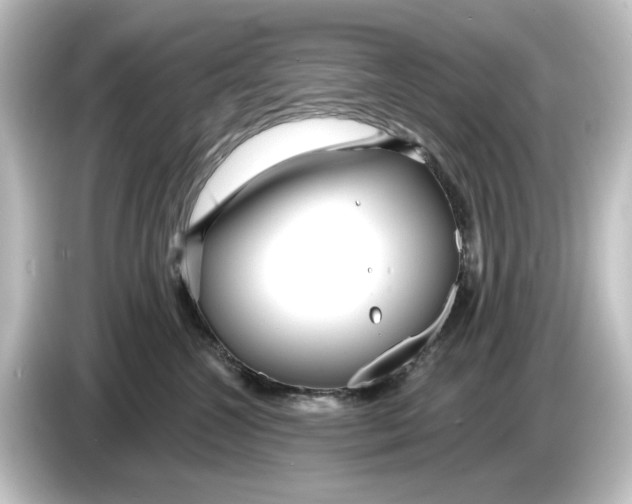 X0000084600572200703161820