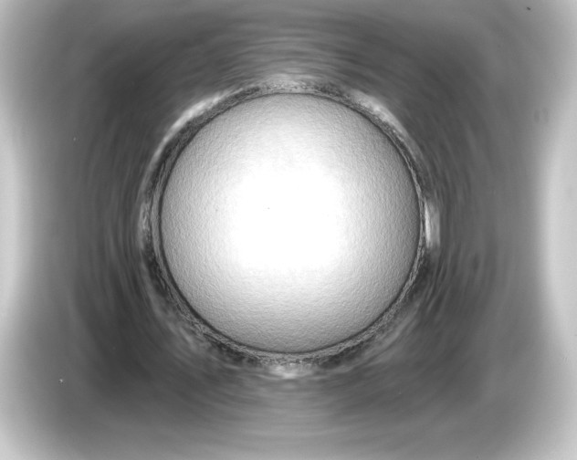 X0000084600579200703161819