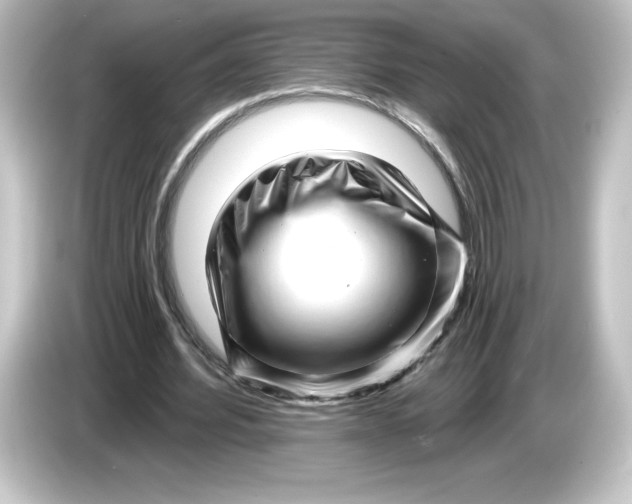 X0000084600580200703161819