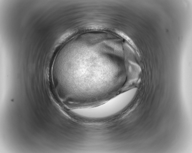 X0000084600581200703161819