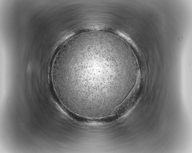 X0000084600585200703161819