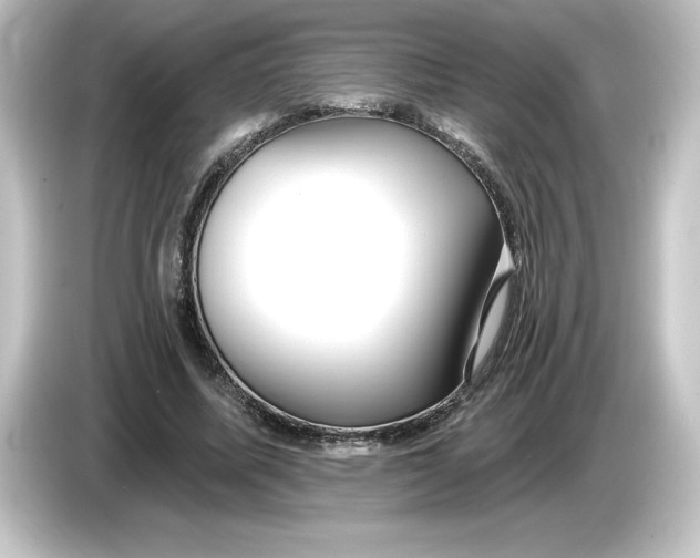 X0000084600587200703161819