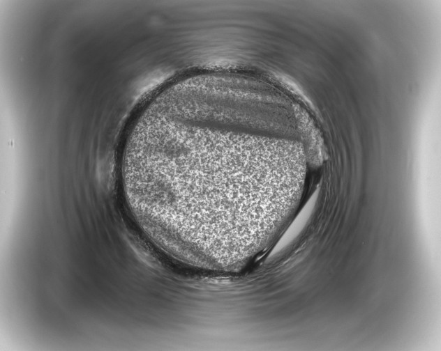 X0000084600588200703161819