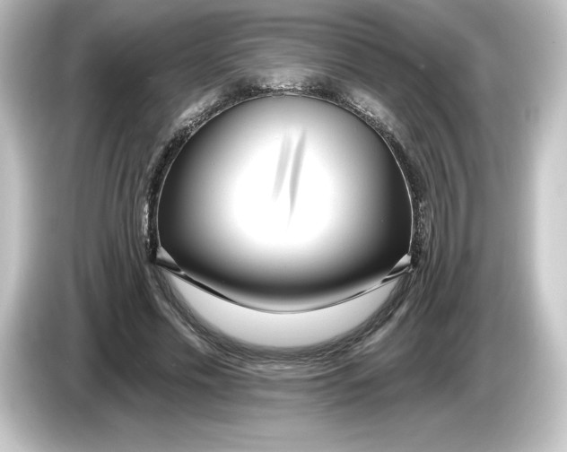 X0000084600589200703161819