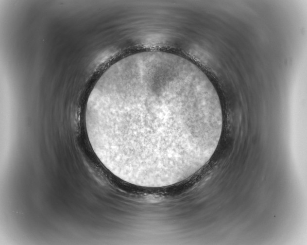 X0000084600592200703161819