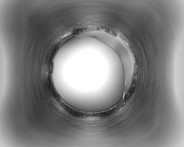 X0000084600593200703161819