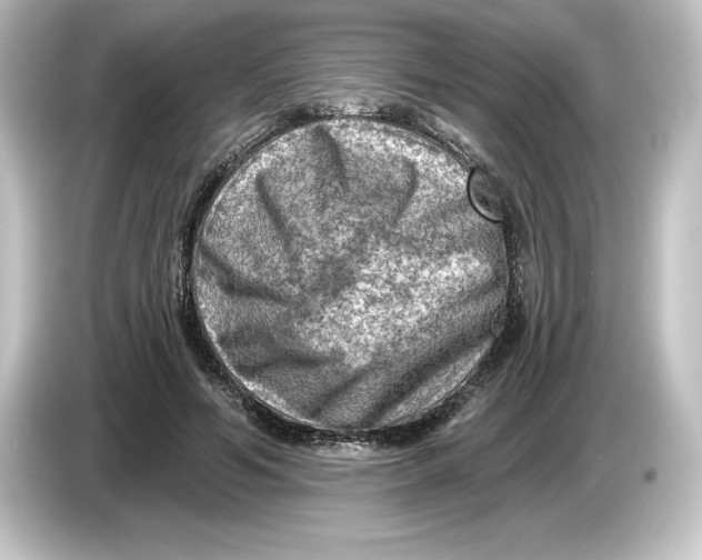 X0000084600594200703161819