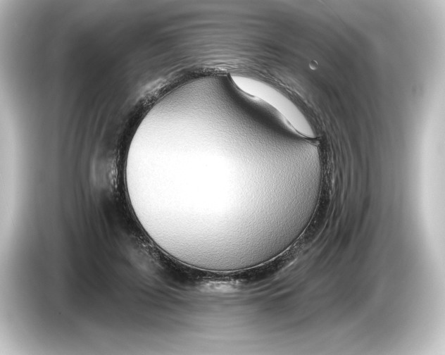 X0000084600595200703161819