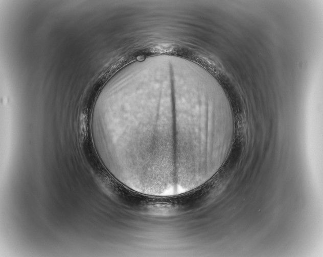 X0000084600598200703161819