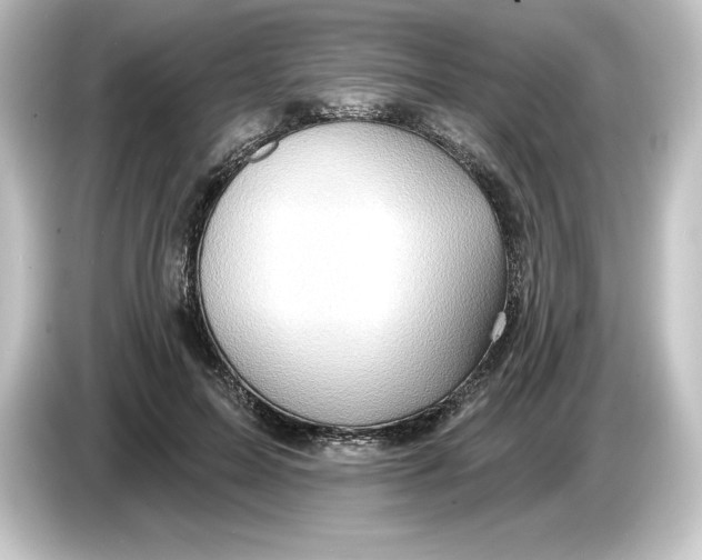 X0000084600599200703161819