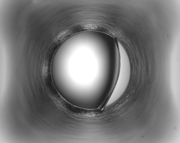 X0000084600600200703161819