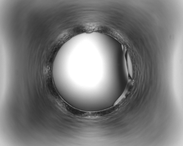 X0000084600601200703161819