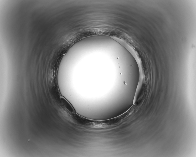 X0000084600605200703161819