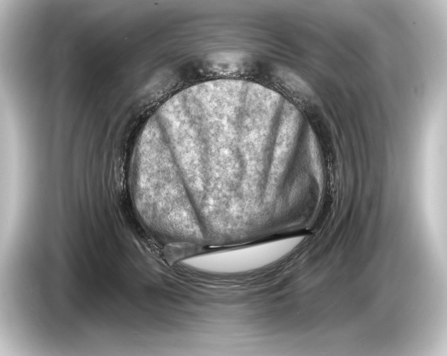 X0000084600606200703161819