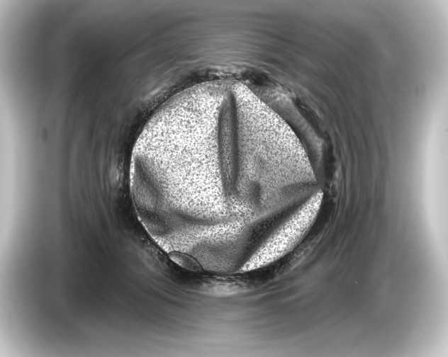 X0000084600608200703161819